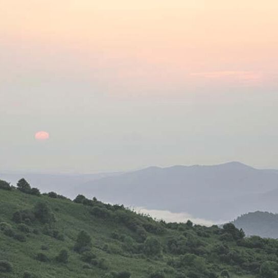 Recognizing Dehydration Symptoms 